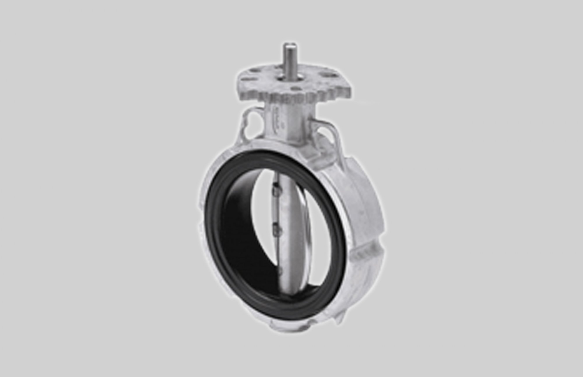 Butterfly Valve - Ductile Disc / MAXX Temp Black Rubber