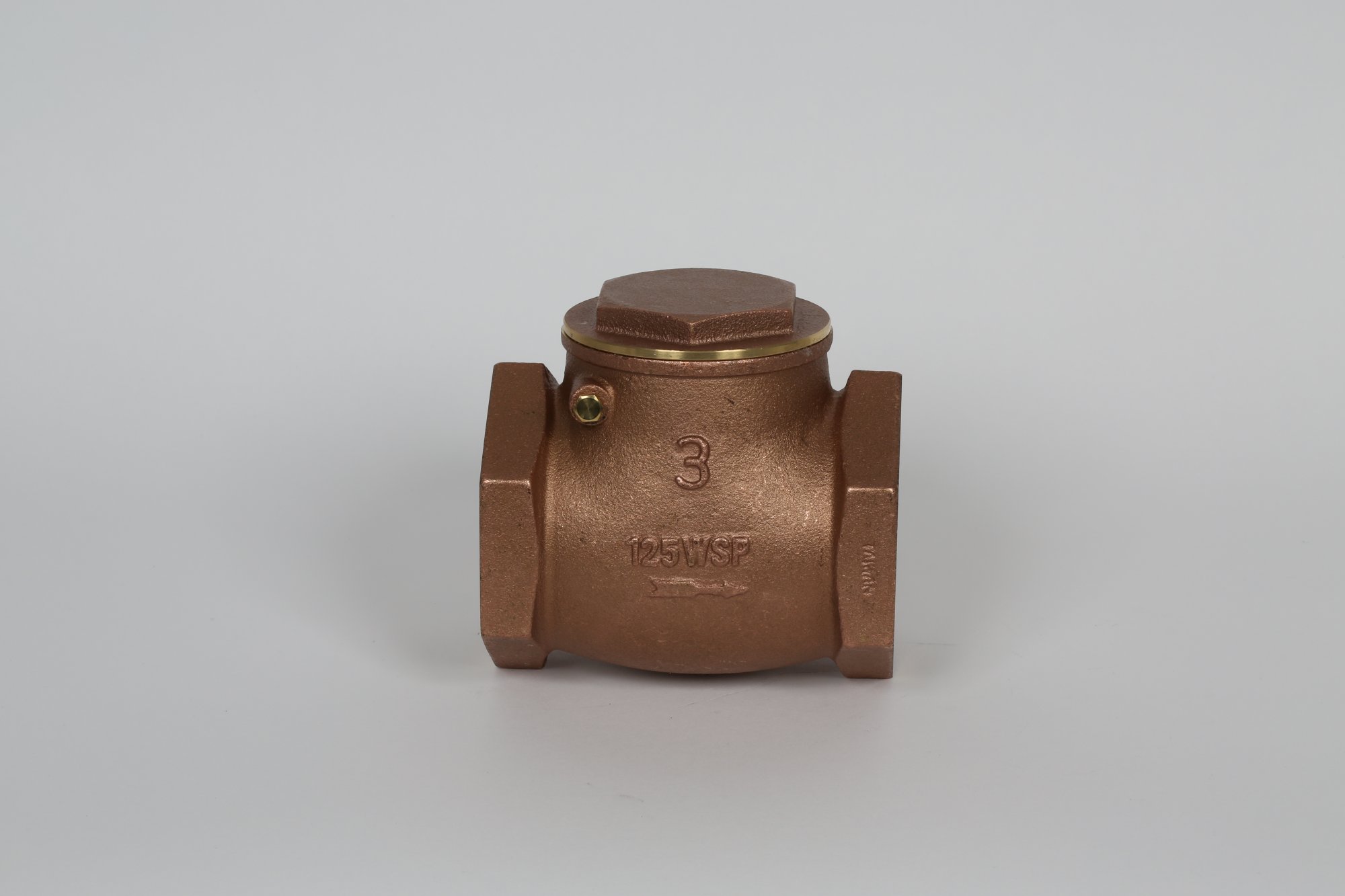 Check Valves - Image 3