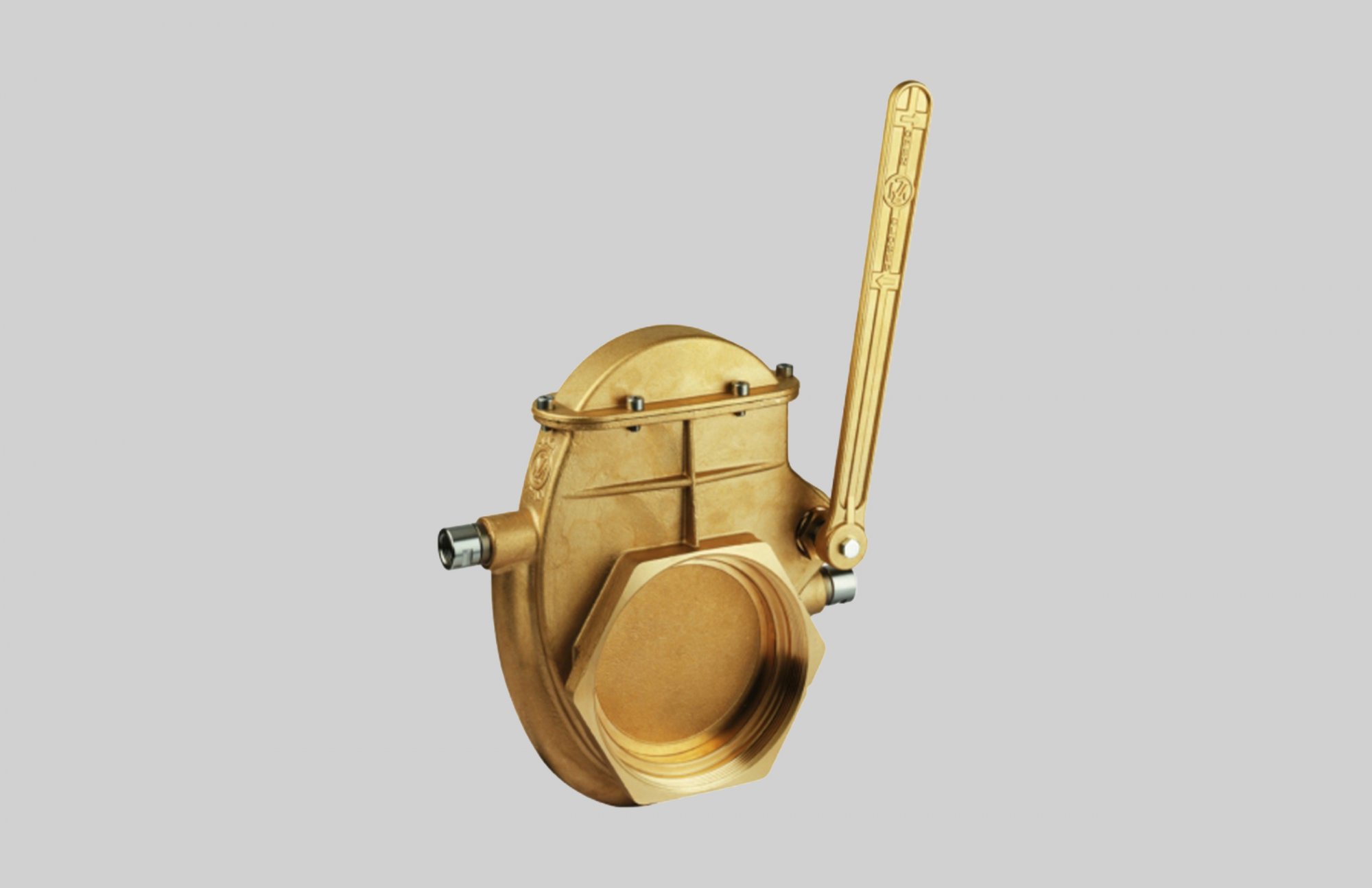 Heated Collar Gate Valve