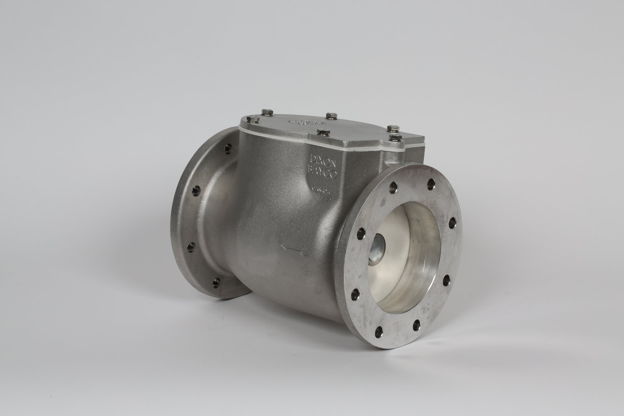 Dry Bulk-3” & 4” Swing Check Valves