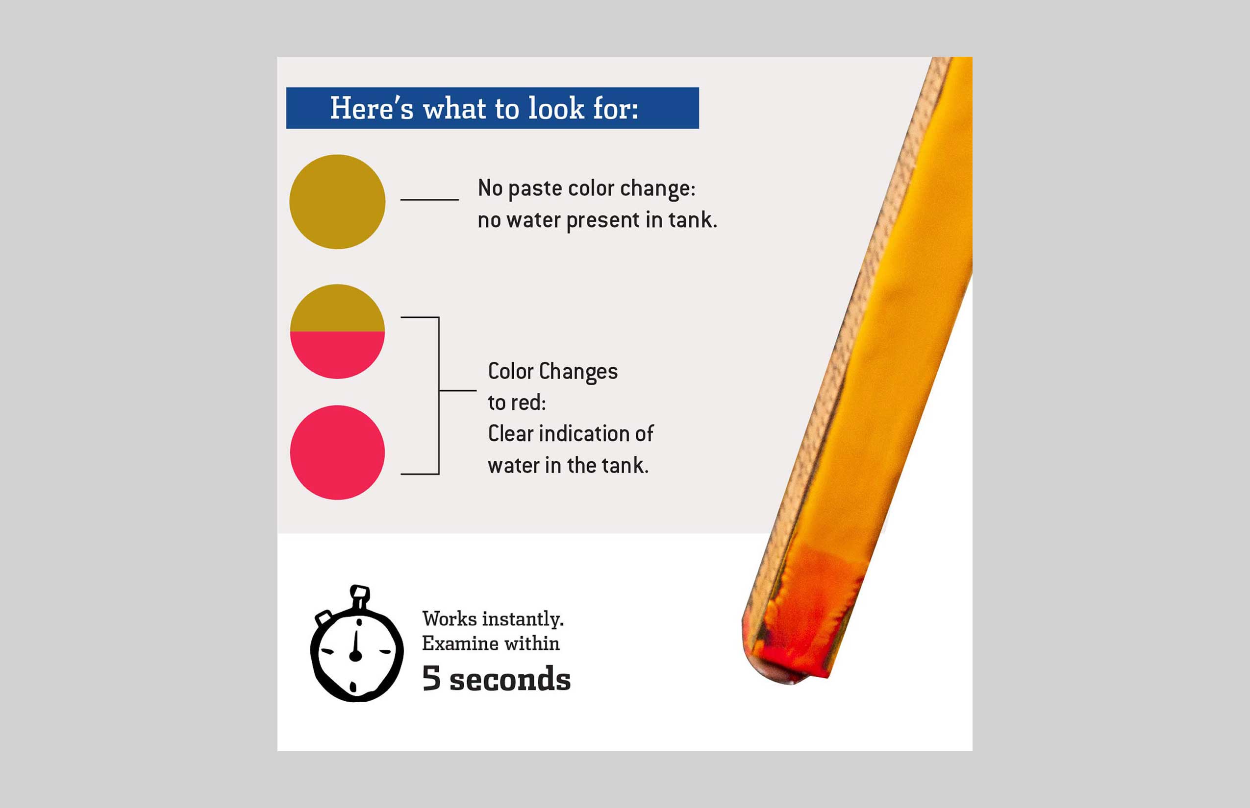 Gasoila - Sar Gel - Image 6