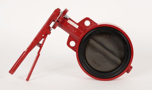 Bray 30 Series Butterfly Valve-Black Seat/Carbon Disk