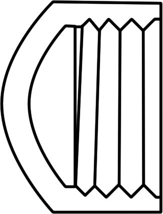Pipe Fitting - Polypropylene - Round Cap - Image 2
