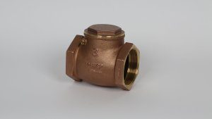 Check Valves